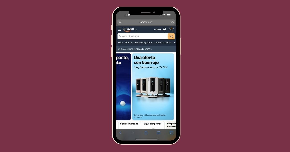 Ring Camera on Amazon campaign screenshot